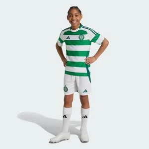 Szorty Celtic FC 24/25 Home Kids Adidas