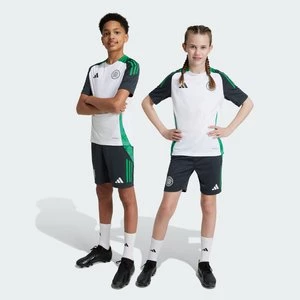 Szorty Celtic FC Tiro 24 Training Kids Adidas