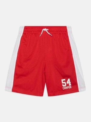 Szorty Champion