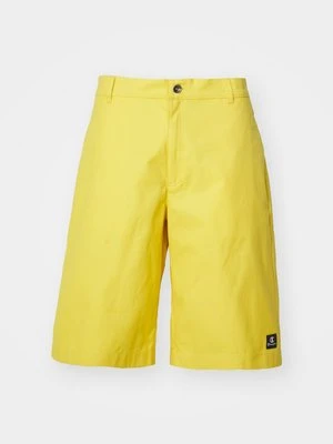 Szorty Champion Rochester