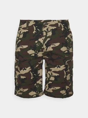 Szorty Dickies