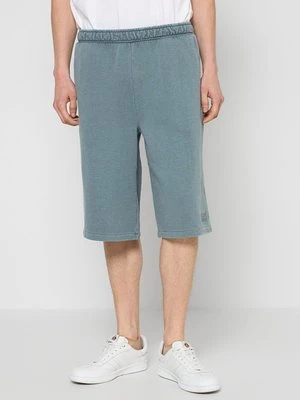 Zdjęcie produktu Szorty Dickies
