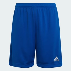 Szorty Entrada 22 Adidas Royal Blue