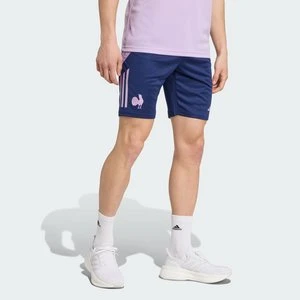 Szorty France Gym Adidas