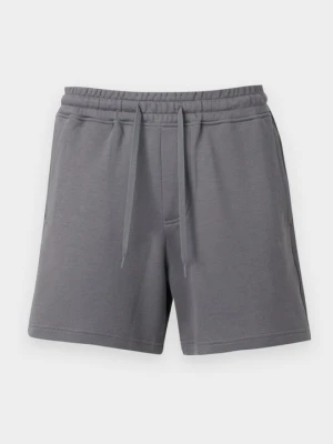 Szorty Hollister Co. ciemnoszary