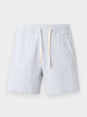 Szorty Hollister Co. niebieski