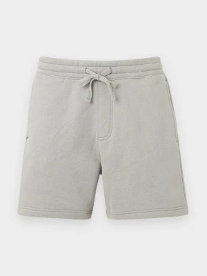 Szorty Hollister Co. szary