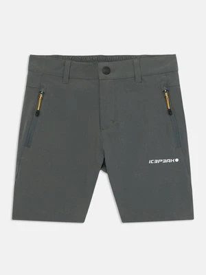 Szorty icepeak khaki