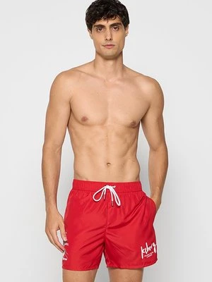 Szorty kąpielowe Iceberg