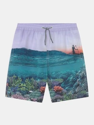 Szorty kąpielowe Molo