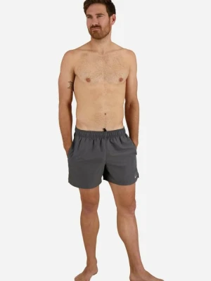 Szorty kąpielowe Nike jasnoszary