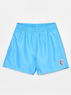 Szorty kąpielowe Nike Performance