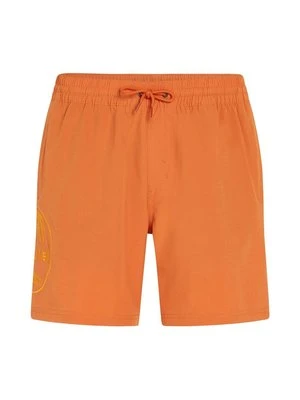 Szorty kąpielowe O'Neill