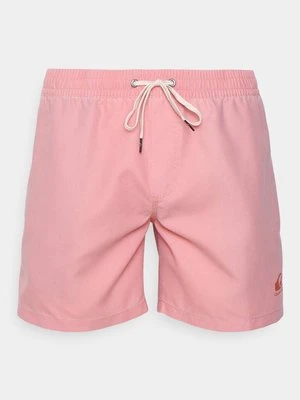 Szorty kąpielowe Quiksilver
