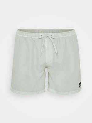 Szorty kąpielowe Quiksilver