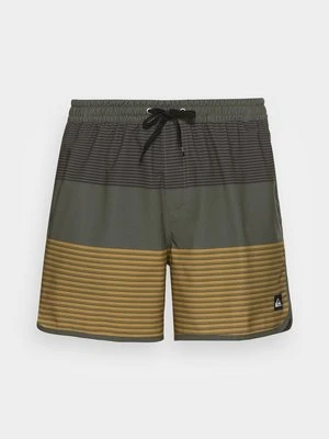 Szorty kąpielowe Quiksilver