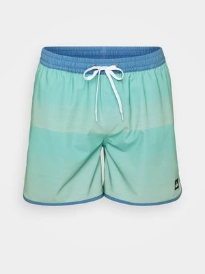 Szorty kąpielowe Quiksilver