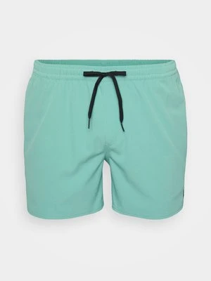 Szorty kąpielowe Quiksilver