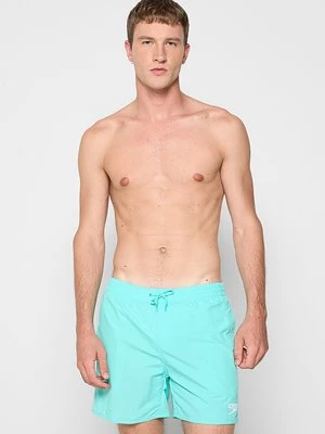 Szorty kąpielowe Speedo