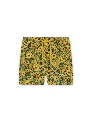 Szorty Lyle & Scott żółty