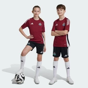 Szorty Newcastle United FC Tiro 24 Training Kids Adidas