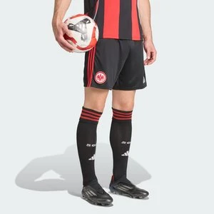 Szorty podstawowe Eintracht Frankfurt 25/26 Adidas