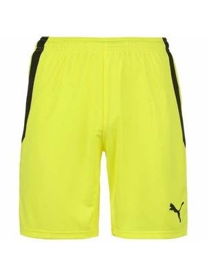 Szorty Puma