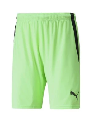 Zdjęcie produktu Szorty Puma zielony