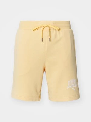 Szorty Puma