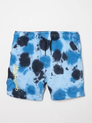 Szorty Quiksilver