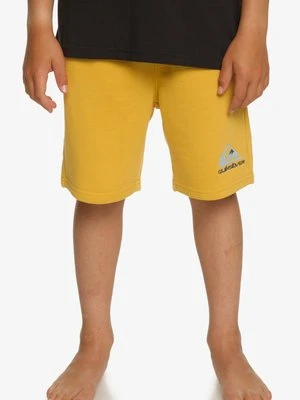Szorty Quiksilver