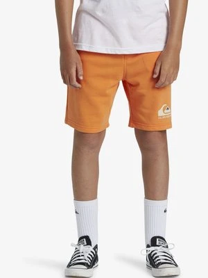 Szorty Quiksilver