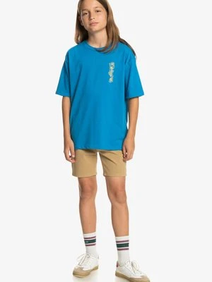 Szorty Quiksilver