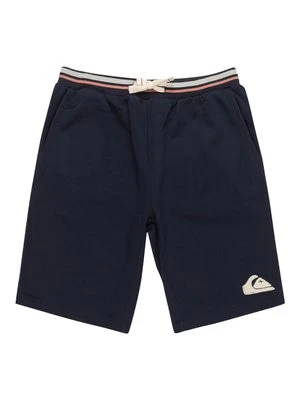 Szorty Quiksilver