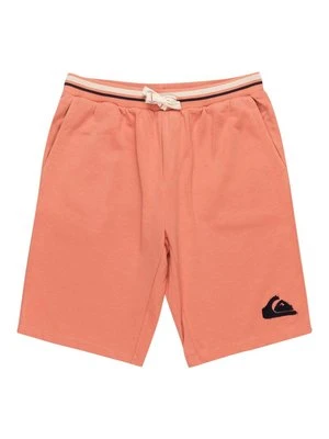 Szorty Quiksilver