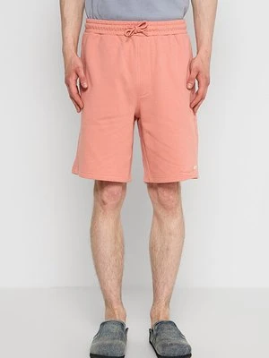 Szorty Quiksilver