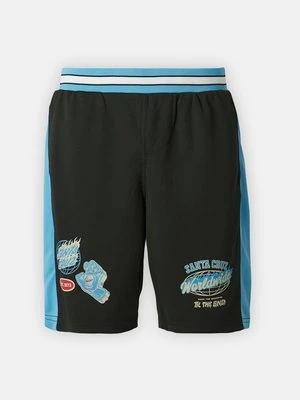 Szorty Santa Cruz
