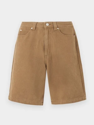 Szorty Santa Cruz taupe