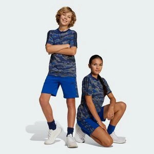 Szorty Seasonal Essentials Camo Kids Adidas