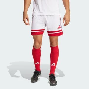 Szorty Squadra 25 Adidas