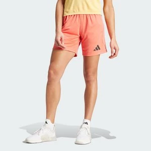 Szorty Team Germany Adidas