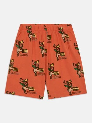 Szorty THE ANIMALS OBSERVATORY