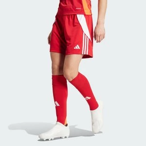 Szorty Tiro 24 Adidas