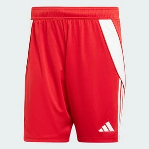 Szorty Tiro 24 Adidas