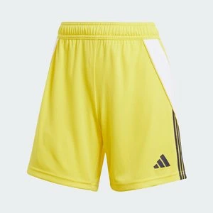 Szorty Tiro 24 Adidas
