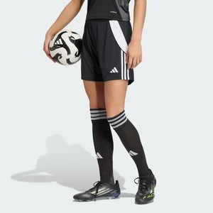 Szorty Tiro 24 Adidas