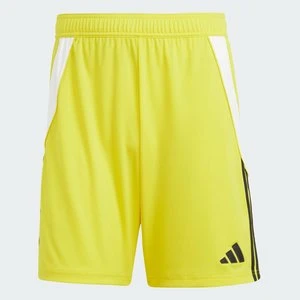 Szorty Tiro 24 Adidas