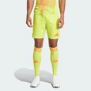 Szorty Tiro 24 Pro Goalkeeper Adidas