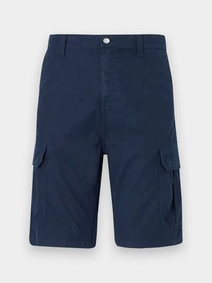 Szorty Tommy Jeans