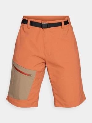 Szorty trekkingowe Salomon